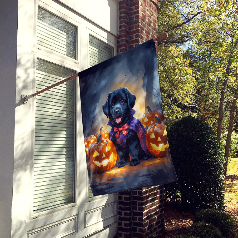 Black Newfoundland Puppy Halloween House Flag – Double-Sided, Heavy-Duty Polyester | 28" × 40"
