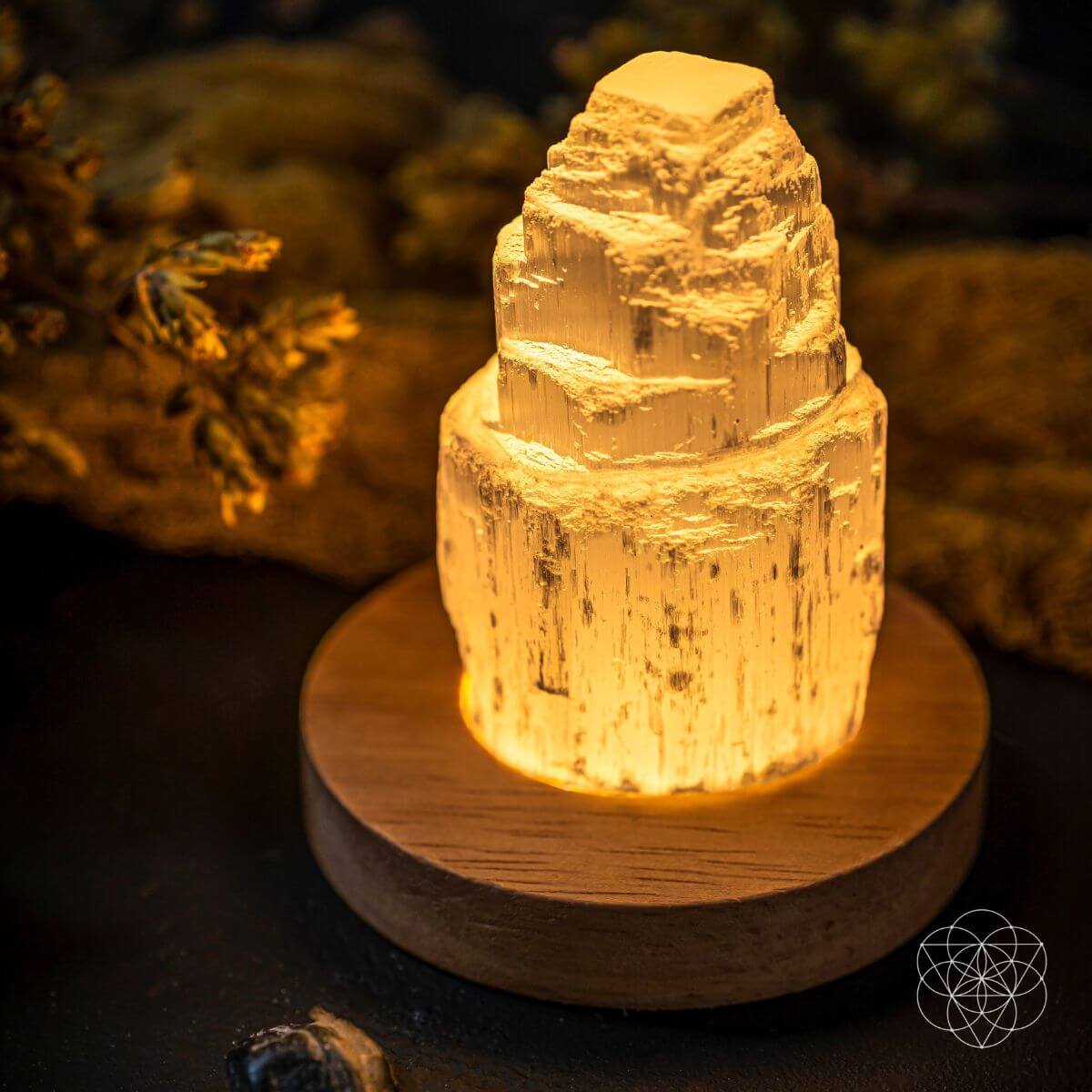 Selenite Crystal Night Light Lamp – Natural Cleansing Stone, Purifying Desk & Meditation Light